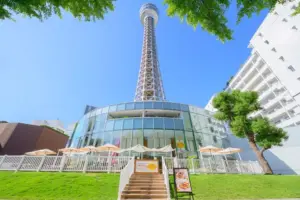 横浜マリンタワー65周年記念キャンペーンのイメージ