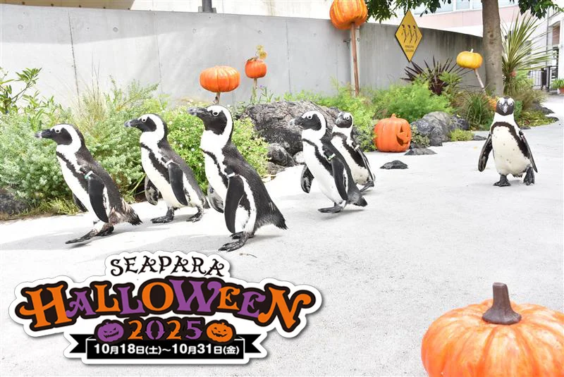 八景島シーパラダイスで開催されるハロウィンイベント「SEAPARA HALLOWEEN 2025」