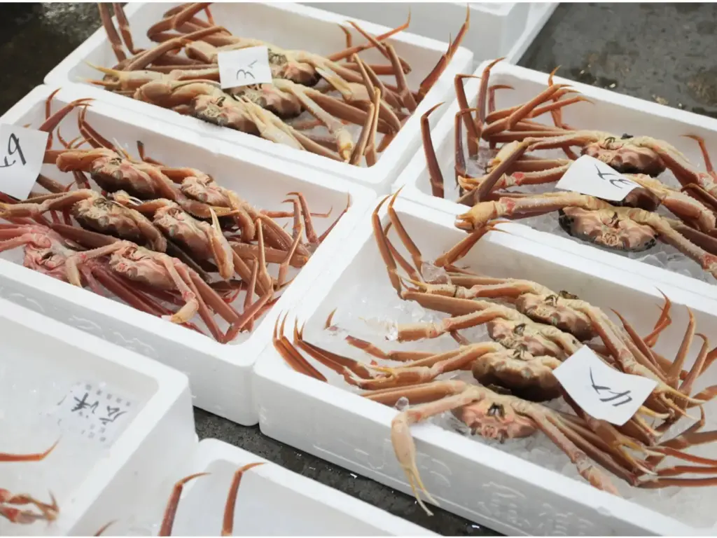 横浜甲羅本店で提供される“初がに”料理のイメージ