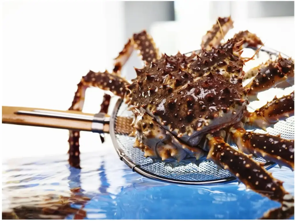 横浜甲羅本店で提供される“初がに”料理のイメージ